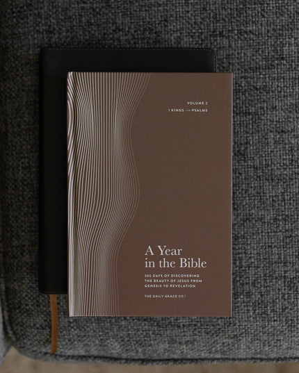 A Year in the Bible | Men's Study | 365 Days of Discovering the Beauty of Jesus from Genesis to Revelation | Volume 2