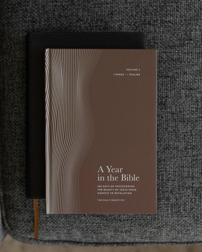 A Year in the Bible | Men's Study | 365 Days of Discovering the Beauty of Jesus from Genesis to Revelation | Volume 2