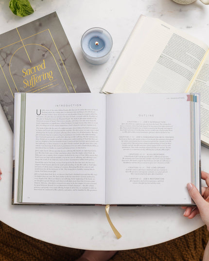 The Bible Handbook: A Book-by-Book Guide to the Entire Bible