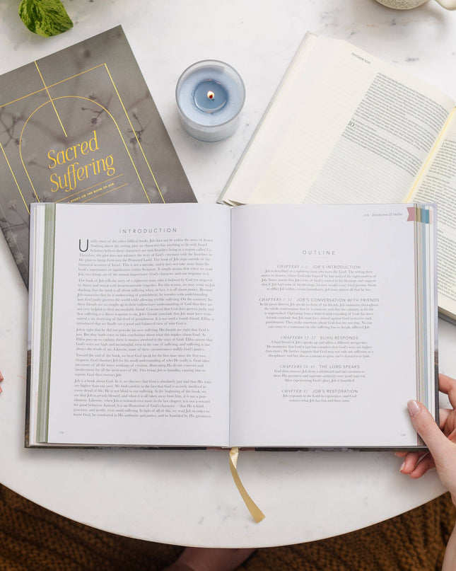 The Bible Handbook: A Book-by-Book Guide to the Entire Bible