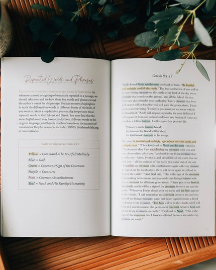 Bible Highlighting Guide