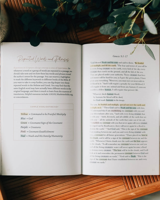 Bible Highlighting Guide
