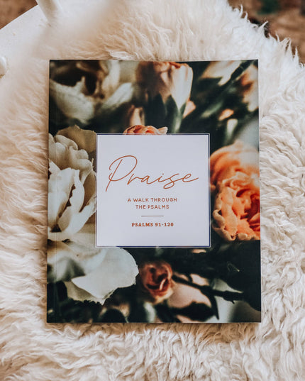 Praise Bible Study | Psalms 91-120