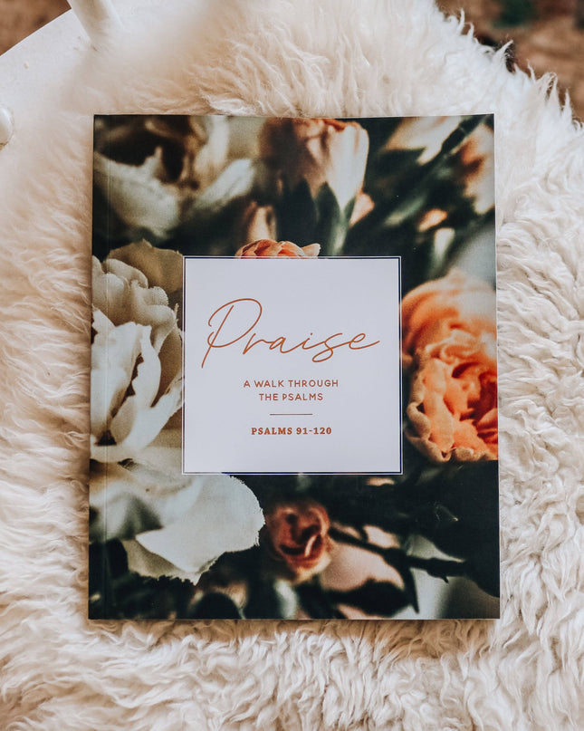 Praise Bible Study | Psalms 91-120