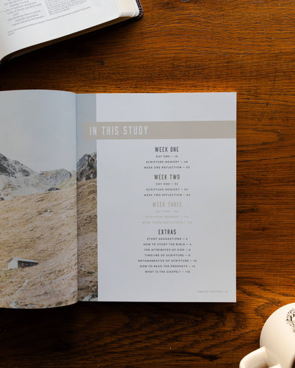 Restored | A Study on the Book of Joel - Men
