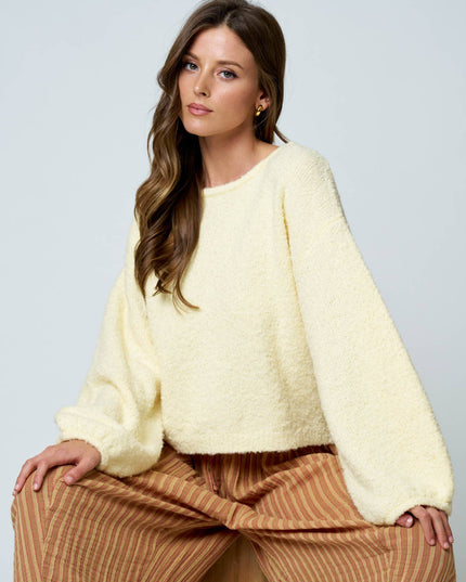 LONG SLEEVE FUZZY KNIT PULLOVER SWEATER (PRE-ORDER)