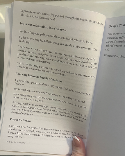 Holy Shenanigans | 30-Day Christian Devotional for Women