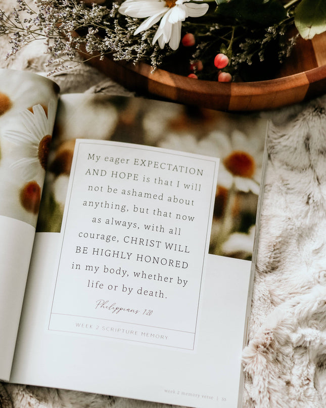 More Than Anything Bible Study