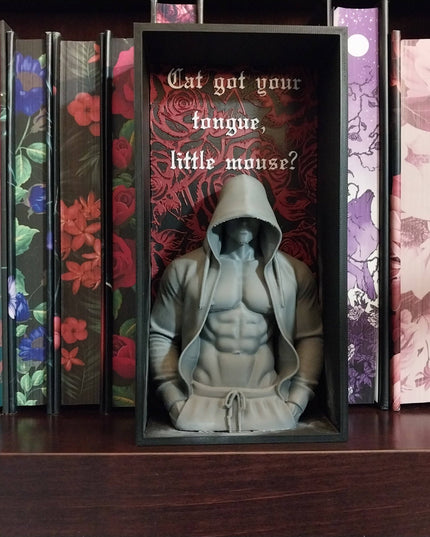 Haunting Adeline Inspired Book Nook | Gothic Dark Romance Shelf Decor | BookTok Bookshelf Insert