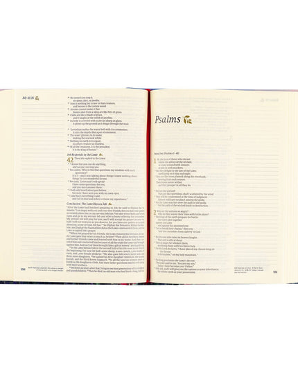 NLT Notetaking Bible: Cana Theme