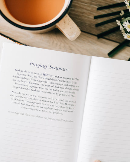 Book by Book | A Bible Study Companion