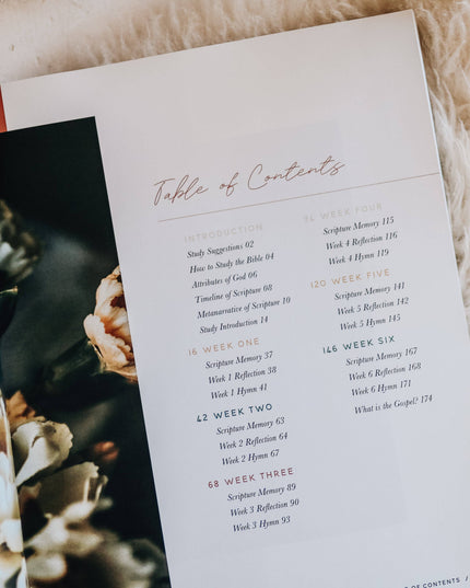 Praise Bible Study | Psalms 91-120