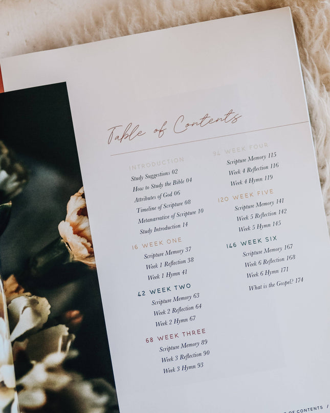 Praise Bible Study | Psalms 91-120