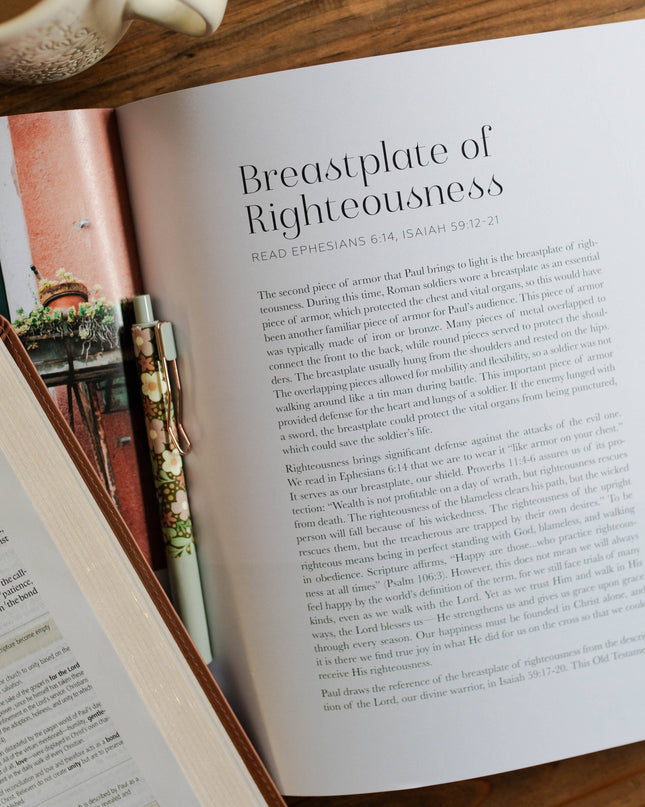 Stand Firm | Armor of God Study