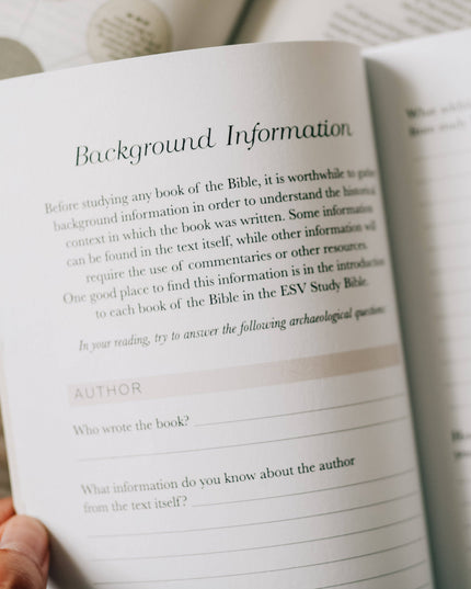 Book by Book | A Bible Study Companion