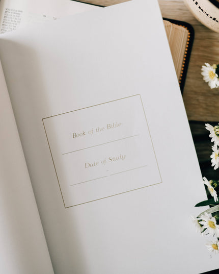 Book by Book | A Bible Study Companion