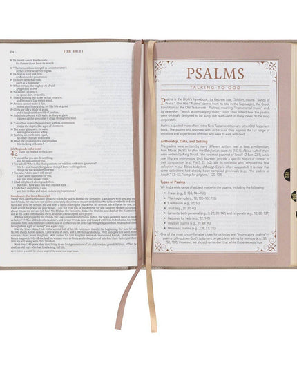 Embroidered Taupe Faux Leather Spiritual Growth Bible