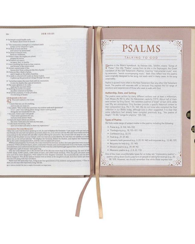 Embroidered Taupe Faux Leather Spiritual Growth Bible