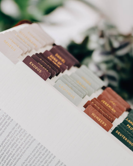 Jewel Tone Bible Tabs