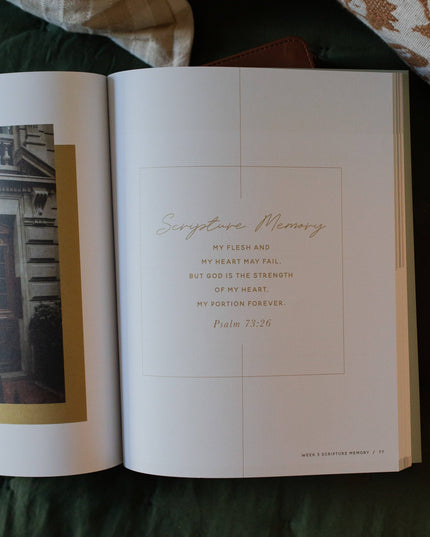 Seek | 6 Week Bible Study | A Walk Through Psalms 61-90