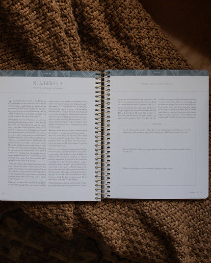 A Year in the Bible | Volume 1 Bible Study