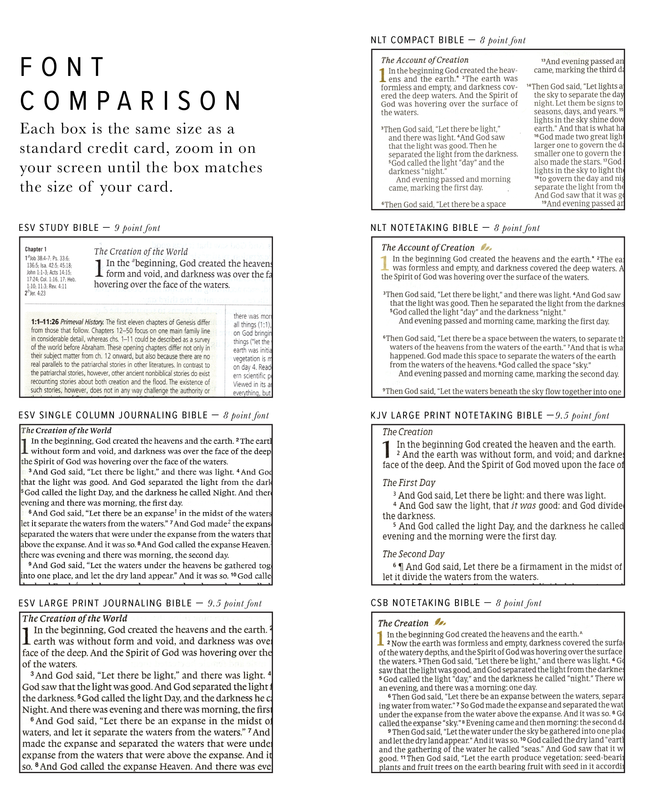 ESV Journaling Bible: Florence Theme