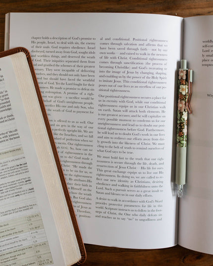 Stand Firm | Armor of God Study