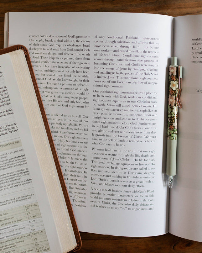 Stand Firm | Armor of God Study