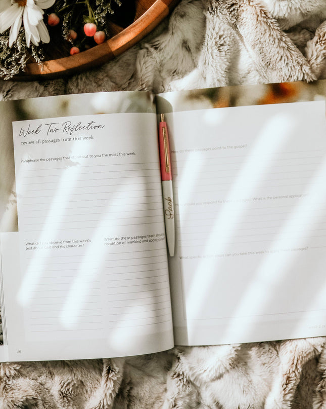 More Than Anything Bible Study