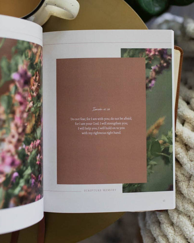 Peace for the Anxious Heart