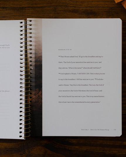 Christ in All of Scripture | Volume 1 | Men