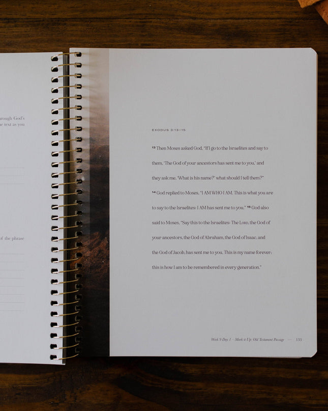 Christ in All of Scripture | Volume 1 | Men