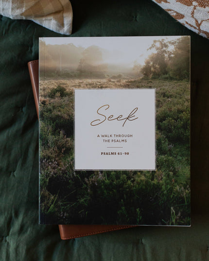 Seek | 6 Week Bible Study | A Walk Through Psalms 61-90