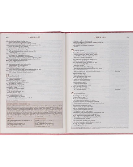 NLT, The Spiritual Growth Bible Faux Leather, Pink
