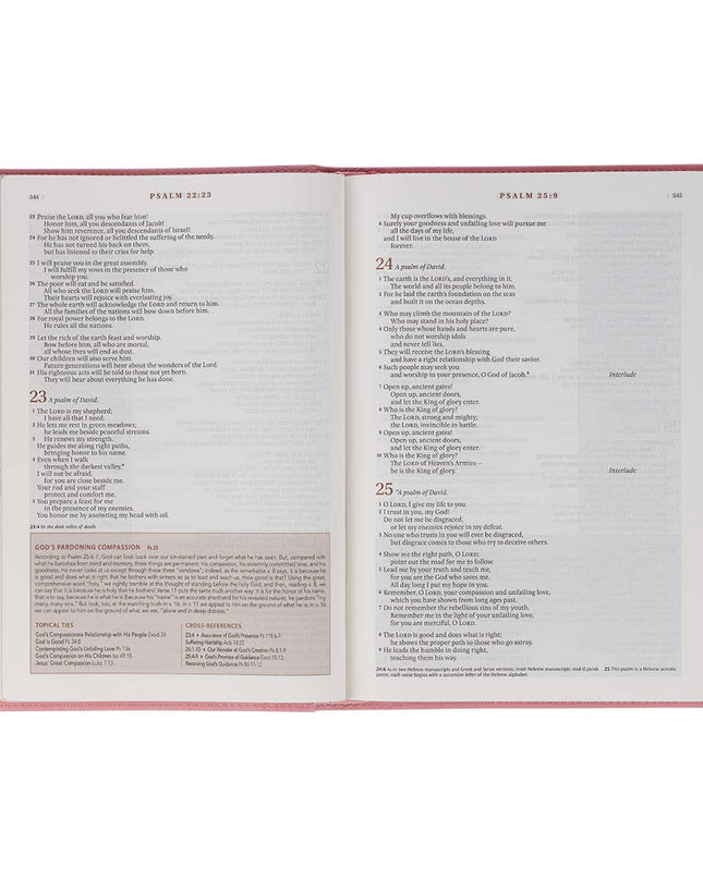 NLT, The Spiritual Growth Bible Faux Leather, Pink