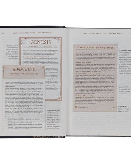 NLT, The Spiritual Growth Bible Faux Leather, Black Floral