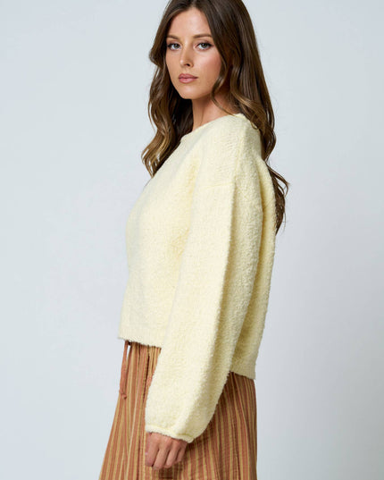 LONG SLEEVE FUZZY KNIT PULLOVER SWEATER (PRE-ORDER)