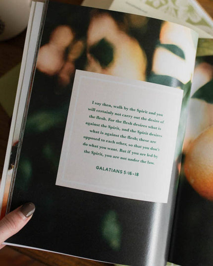 The Fruit of the Spirit Bible Study