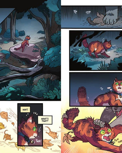 Warriors Graphic Novel: The Prophecies Begin #1 :