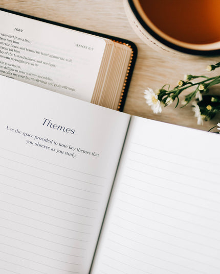 Book by Book | A Bible Study Companion