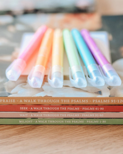 Praise Bible Study | Psalms 91-120
