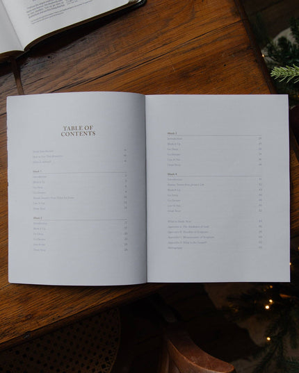 Making Room Advent Bible Study for Teens