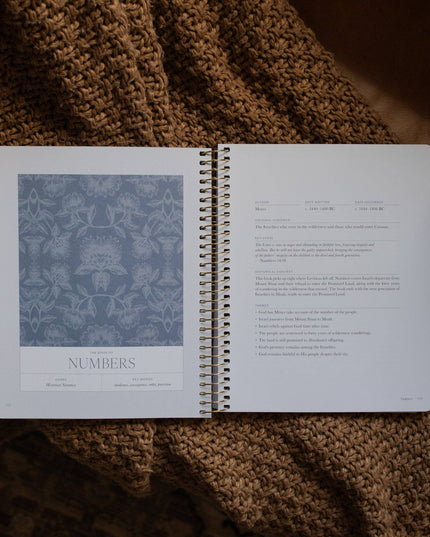 A Year in the Bible | Volume 1 Bible Study