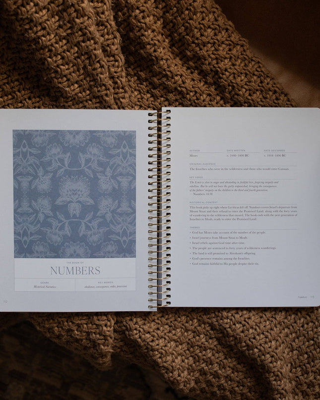A Year in the Bible | Volume 1 Bible Study