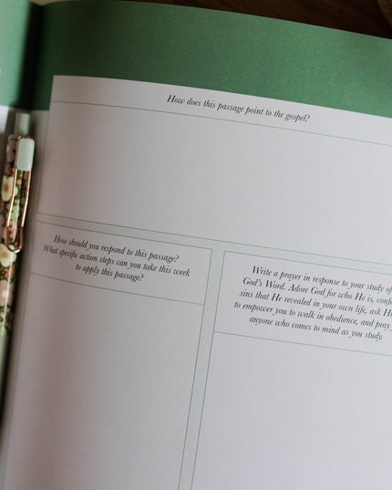 Stand Firm | Armor of God Study