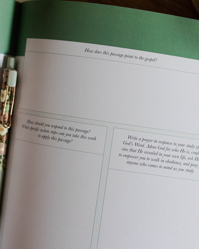 Stand Firm | Armor of God Study