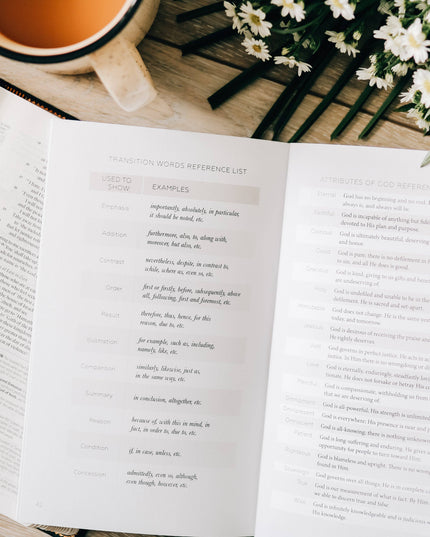 Book by Book | A Bible Study Companion