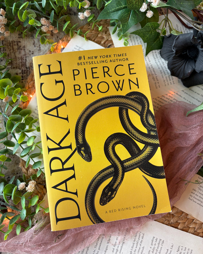 Dark Age-5