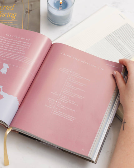 The Bible Handbook: A Book-by-Book Guide to the Entire Bible