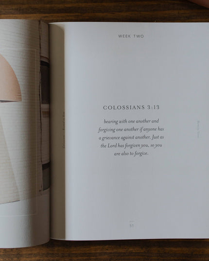 Colossians | Rooted in Him - Men